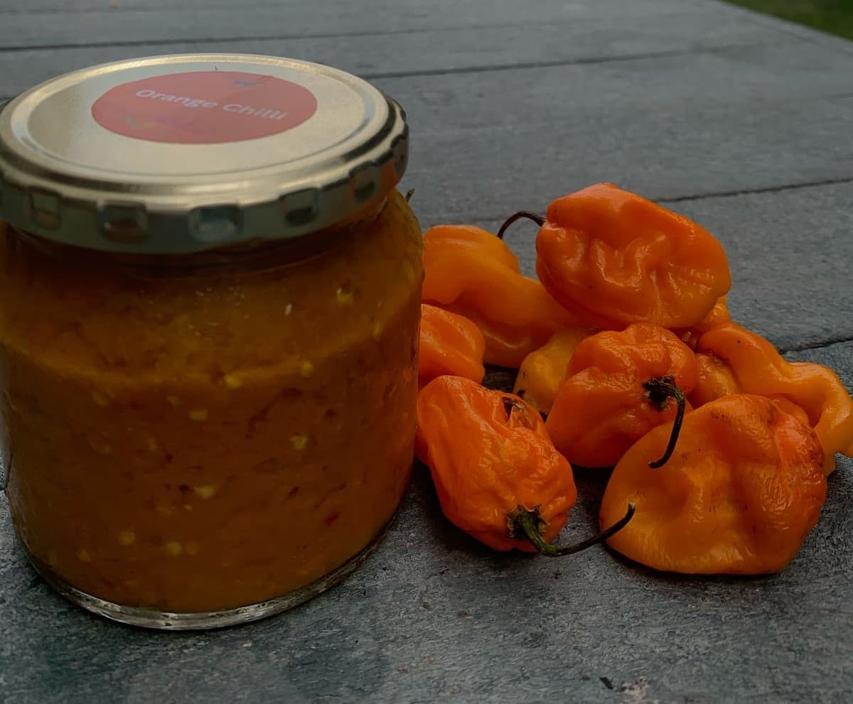 Orange Chilli